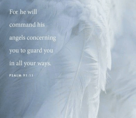 Angel Vision