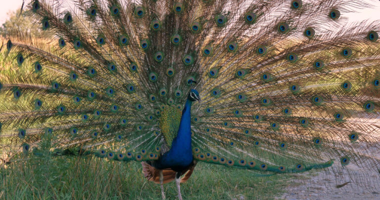 l DIDN’T SEE THIS COMING….