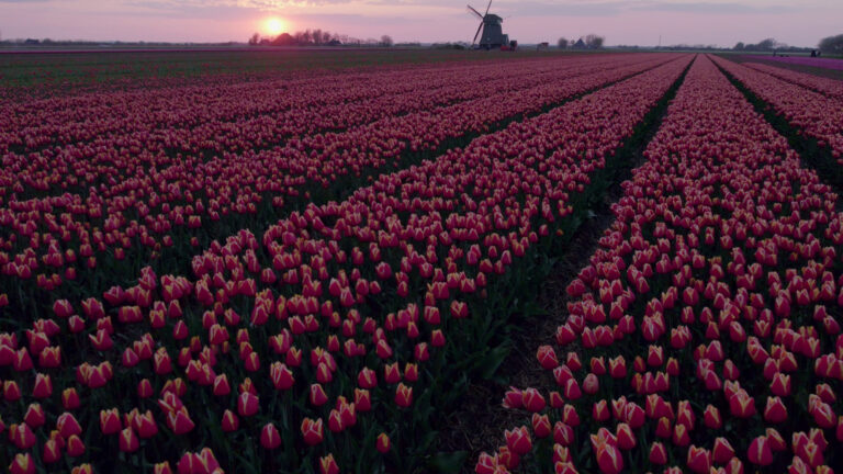 A Glimpse of Heaven