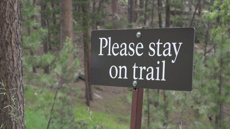 STAY ON THE PATH