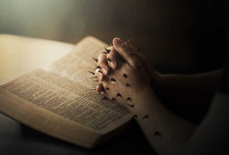 THORNS: PROOF THE ENTIRE BIBLE POINTS TO CHRIST