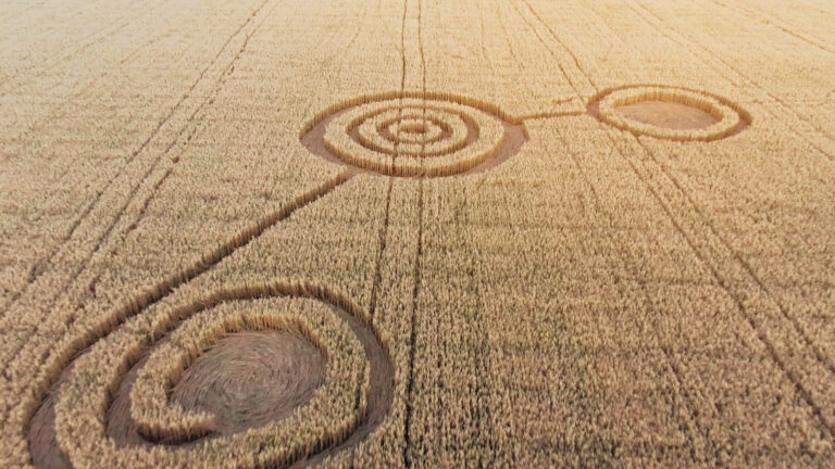 NO CONFUSION–JUST TRUTH